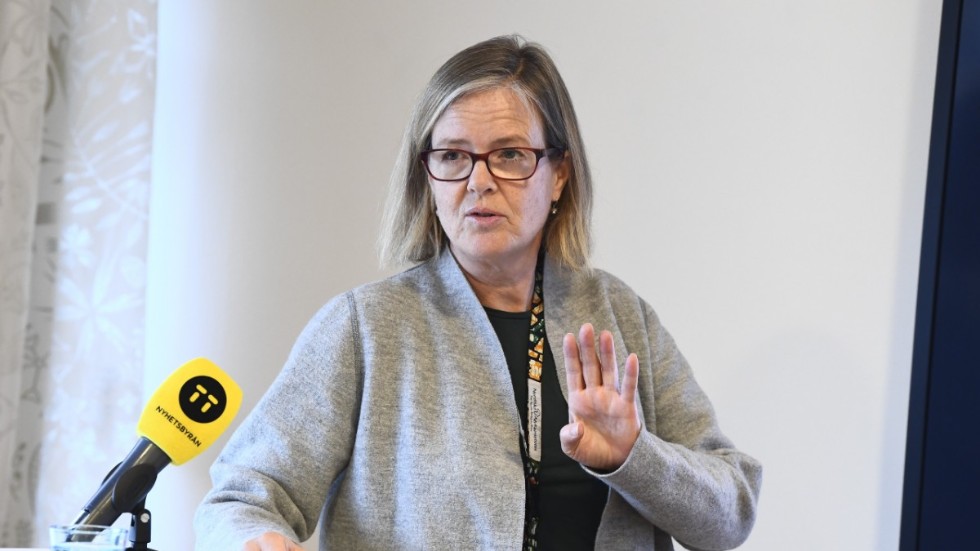 Carin Jämtin, före detta biståndsminister (S), sedan 2017 generaldirektör för Sida.