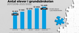 Särskolan växer, oklart varför