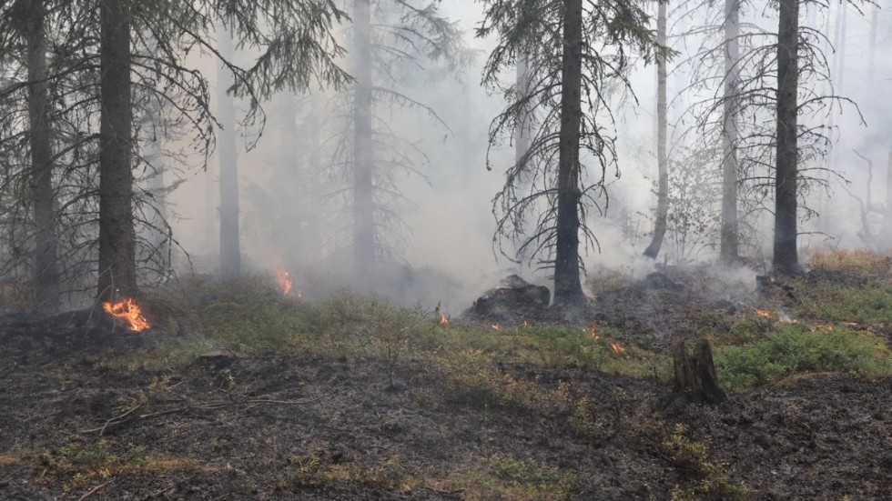 Det brinner i Ålsunda skog. 