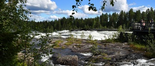 Läsarbilden: Fascinerande fors