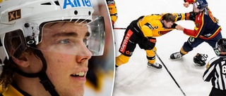 Förre AIK-backen har tackat nej till tränarroll i Luleå Hockey