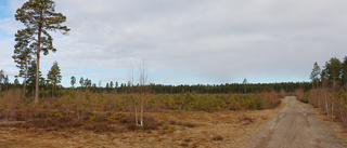 Externt företag vill etablera solcellspark i Hultsfred