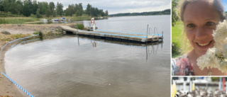 Plastband ska få gässen att inte bajsa ned stranden: "I år hann vi före"