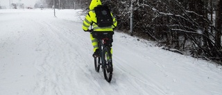 Snövädret: Därför plogas Luleås gator inte direkt