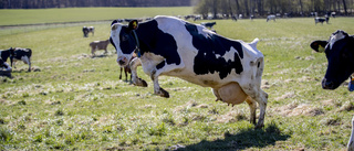 KO stämmer Arla för klimatreklam