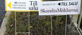 Mäklare: "Fortsatt säljarnas marknad"