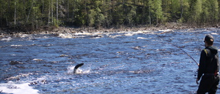 Läsarbild: Visst nappar det   