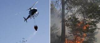 Extra helikoptrar på grund av extrem brandrisk – MSB: "Vi behöver håller ett extra öga på Gotland"