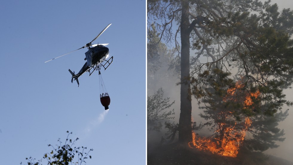 Det varma vädret ökar risken för skogsbrand.