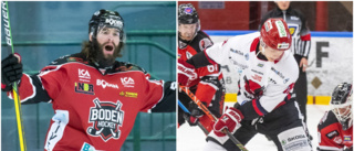 Live: Följ Boden Hockey-Kalix Hockey här!