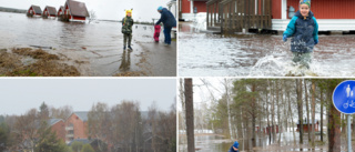 Bildextra: se Kalixälven dra in i samhället