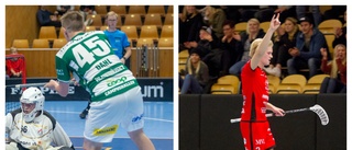 TV: Ledberg segrade i rivalderbyt – se matchen i repris