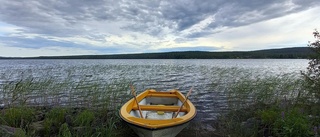 Stilla vy över Alträsket             