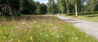 Ett måste för bevarandet av biologisk mångfald