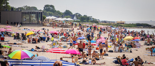 Stoppa förstörelsen av Tofta strand