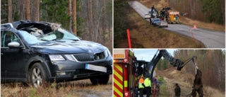 En person till sjukhus efter krock med älg