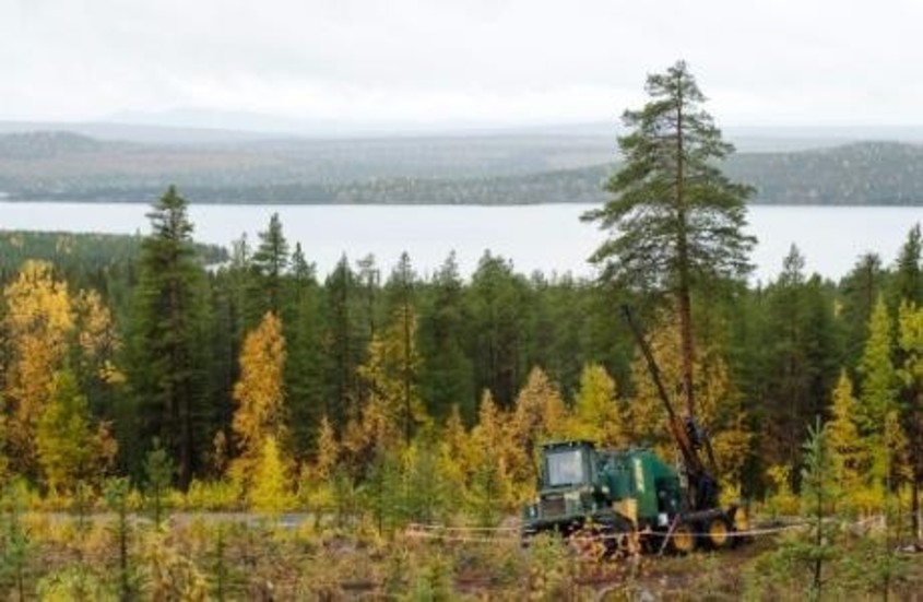 BORRAR. I trakten av Randijaur och Björkholmen letar bolaget vidare efter brytvärd järnmalm.