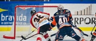 Luleå Hockey är vinnare igen