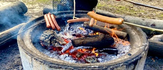 Grillad korv och Skogsmulle lockar besökare