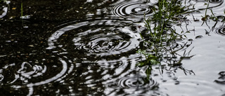 SMHI: Höstkänsla för Gotland - regn och moln