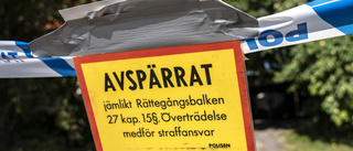 Misstänks ha kidnappat och våldtagit pojkar