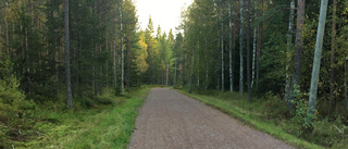 Håll er i rätt spår, cyklister!