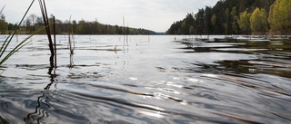 Bevattningsförbudet har hävts i Västerviks kommun