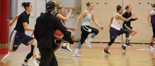 Längd och långsiktighet lyfter Uppsala Basket