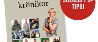 Mina krönikor av Eva Axelsson  