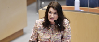 Ann Linde i säkerhetspolitikens dimbank 