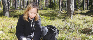 Länsstyrelsen efter filmen: "Gick inte att säkra spår"