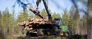 Piteåföretaget ska säkra tillgången till förnybart