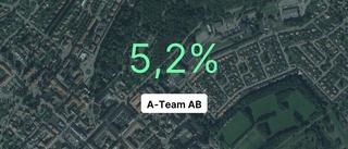 Inget företag i branschen hade större omsättning än A-Team AB i fjol