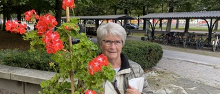 Gunnel köade två timmar – knep första pelargonen: "Nu blir den stora utmaningen att hålla den vid liv"