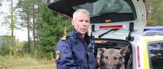 Nationellt hundproblem finns inte i Norrbotten