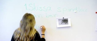 Rörliga lärare kan lösa skolproblem