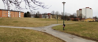 Här är namnet på den nya parken i Norrköping – en historisk hyllning