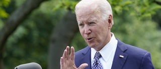 Biden lovar USA:s skydd under Nato-ansökan