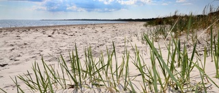 Den här stranden är utsedd till näst bästa i Sverige