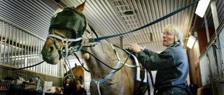 Premiär för travet utan sportchef - "Mer ideellt jobb"