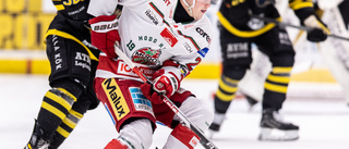 VIK:s nästa värvning: talangfull forward från SHL-klubben