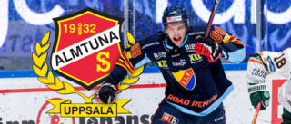 Uppgifter: Almtuna värvar in från HockeyEttan