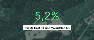 Så gick det för företaget Kvalité Häst och hund i fjol