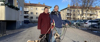 Nya konceptet: Lämna in hunden på "parkering"