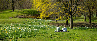 Håll ut! Snart är solen tillbaka