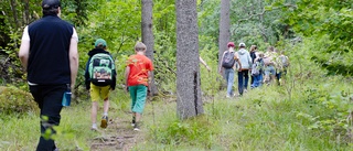 Färre barn vistas i naturen – nu tas krafttag