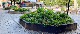 Gör om Guldtorget till en grönyta