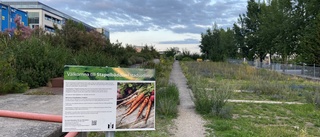 Här är staden Uppsala borde börja se upp till