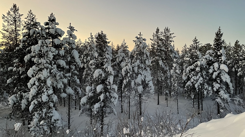 Utanför Institutet för rymdfysik, Kiruna. Klockan 14.