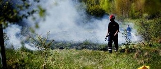 200 kvadratmeter gräs brann vid Oscarsstenen i Visby